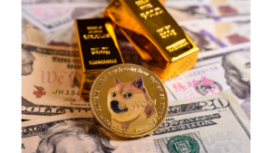 DOGE coin wealth